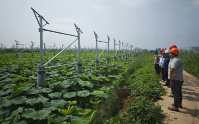 GuanLing Agricultural And Fishery PV station