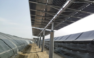 Henan Erjian horizontal single-axis tracking power station