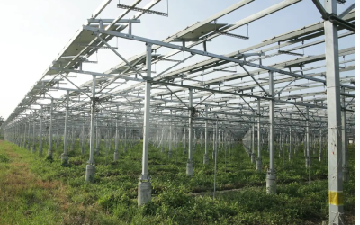Nanning Wuming Agricultural PV Energy Storage Integrated Power Station