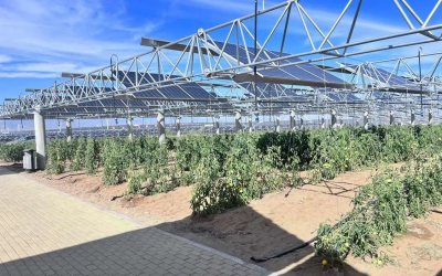 Nanzheng Agricultural PV Complementary Power Station