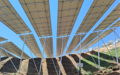 Tianzhen PV and storage integrated power station